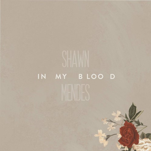Shawn-Mendes-In-my-blood.jpg